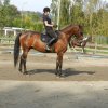 Babie Lato 2016